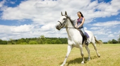 Konj kao sredstvo za kretanje